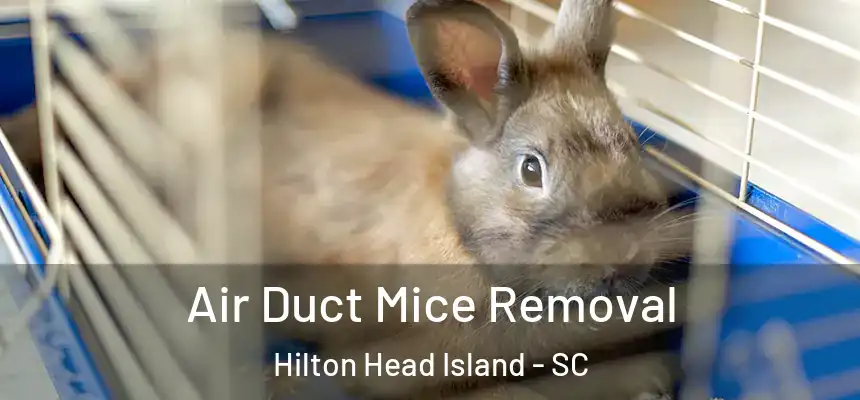  Air Duct Mice Removal Hilton Head Island - SC