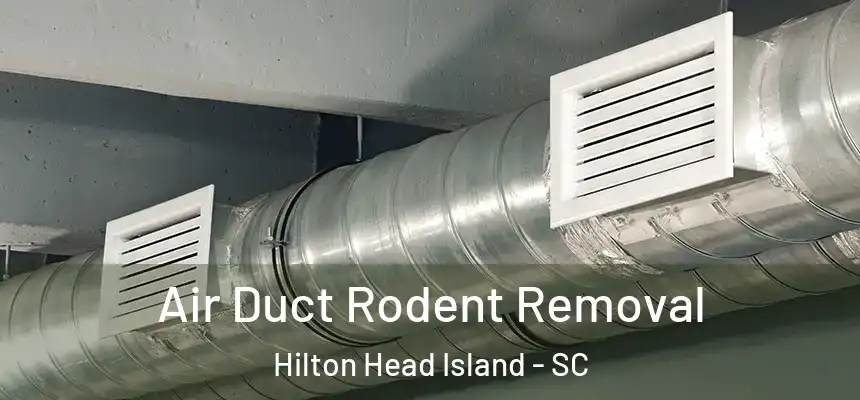  Air Duct Rodent Removal Hilton Head Island - SC