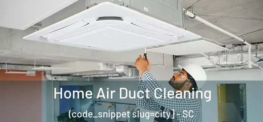  Home Air Duct Cleaning (code_snippet slug=city] - SC