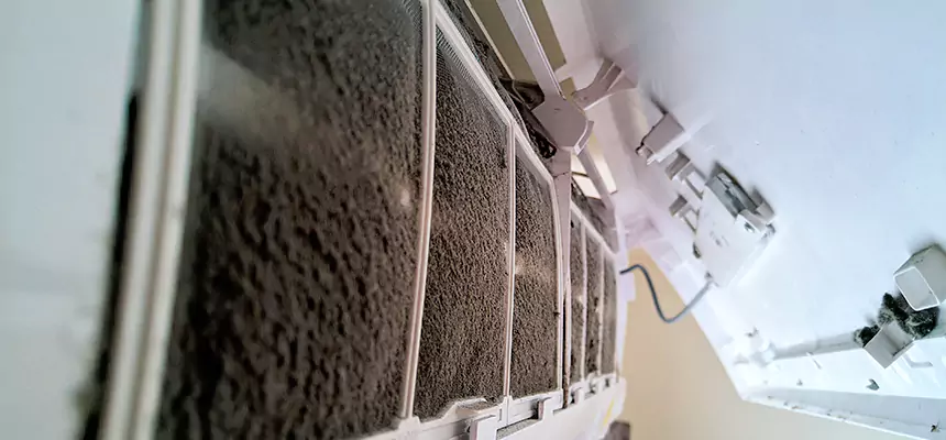 Preventive Air Duct Bacteria Removal in Hilton Head Island