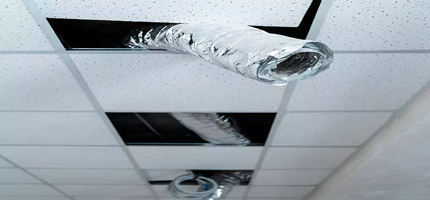 Our Air Duct Pet Hair Removal Services in Hilton Head Island, SC