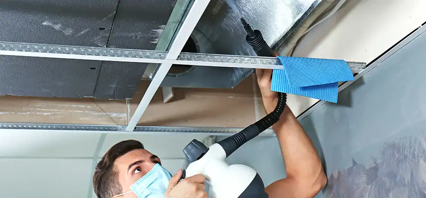 Our Air Duct Rodent Removal Services in Hilton Head Island, SC