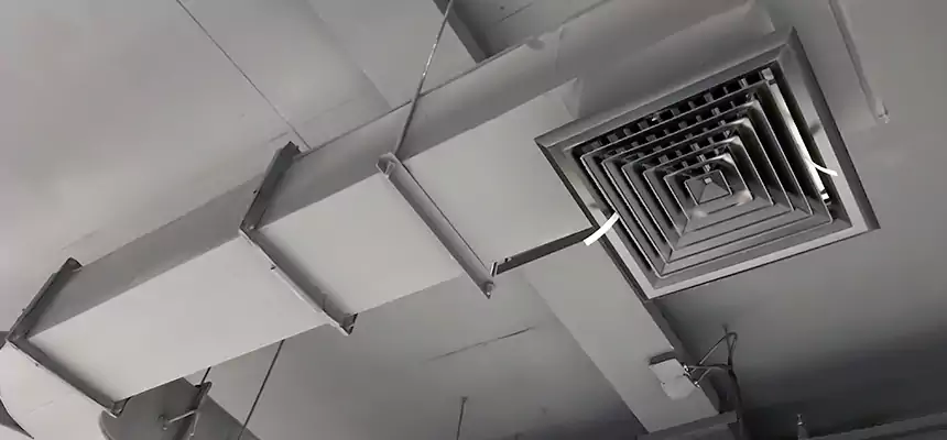 Restorative Allergy Relief Vent Cleaning – Coil, Blower & Housing Detail in Hilton Head Island