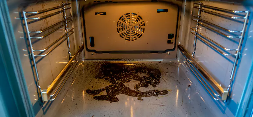 Our Dryer Vent Mold Cleaning Services in Hilton Head Island, SC