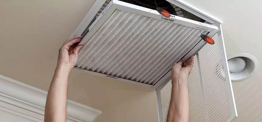 Our Insect Removal from Air Ducts Services in Hilton Head Island, SC