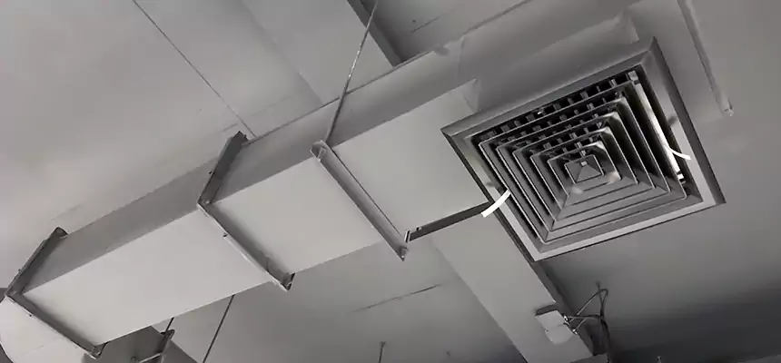 Our Pest Removal From Ducts Services in Hilton Head Island, SC