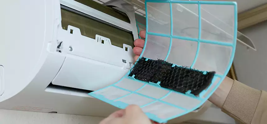 Gentle Ductwork Odor-Control Pet Dander Duct Cleaning in Hilton Head Island, SC