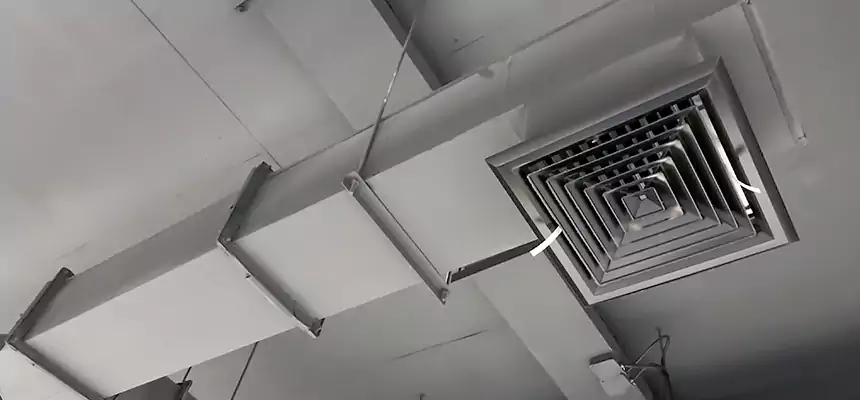 Our Rodent Droppings In Vents Services in Hilton Head Island, SC