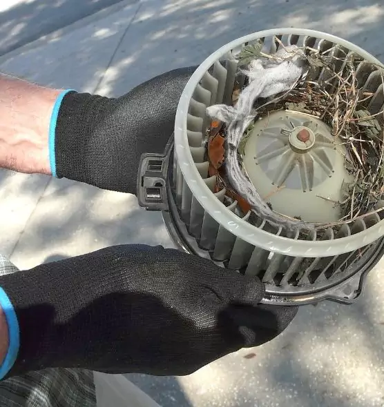 About Air Duct Mice Removal in Hilton Head Island, SC