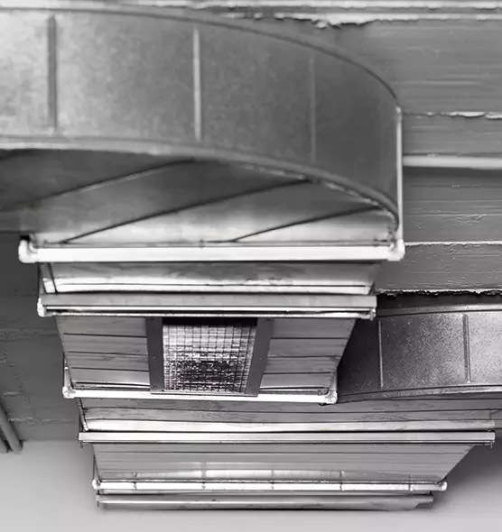 Professional Air Duct Pest Removal in Hilton Head Island, SC