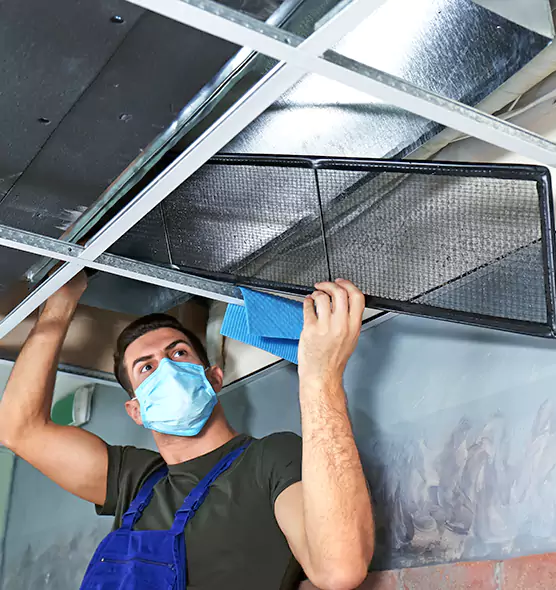 Professional Air Duct Pollen Cleaning in Hilton Head Island, SC