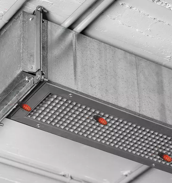 Affordable Insect Removal from Air Ducts in Hilton Head Island, SC