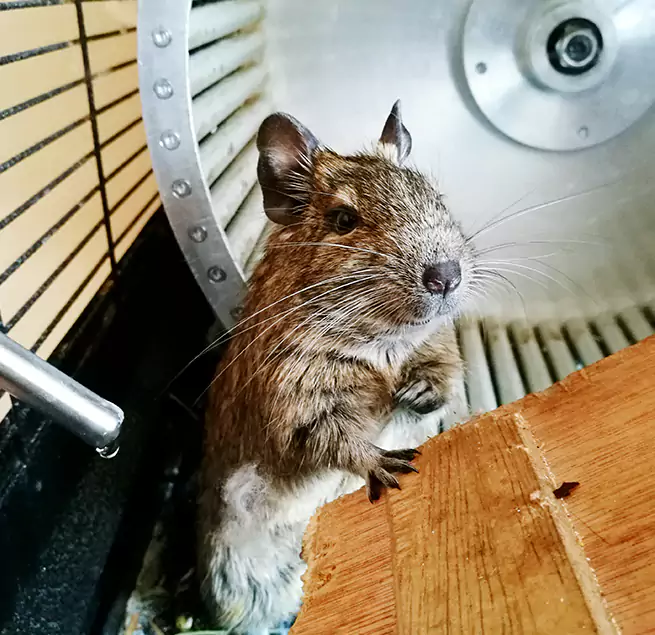 Why Homeowners & Businesses Trust Us Hilton Head Island, SC