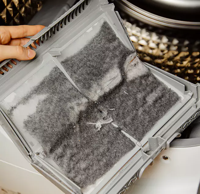  Why Homeowners & Businesses Trust Us Hilton Head Island, SC?