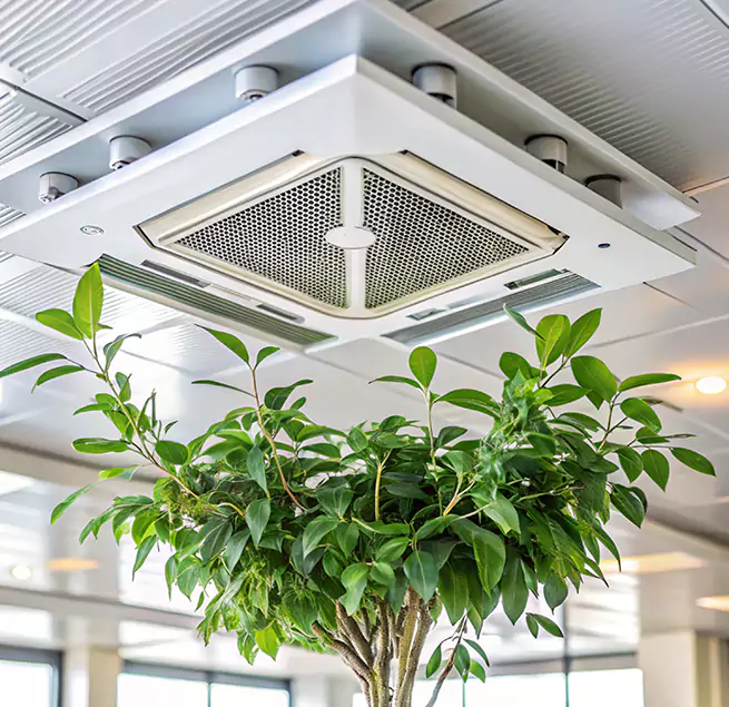 Why Homeowners & Businesses Trust Us in Hilton Head Island, SC?