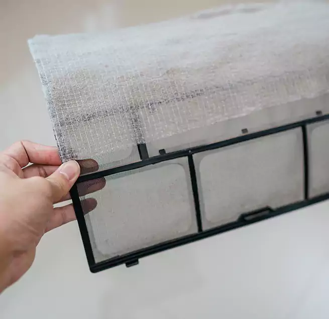 Why Homeowners & Businesses Trust Us in Hilton Head Island, SC?