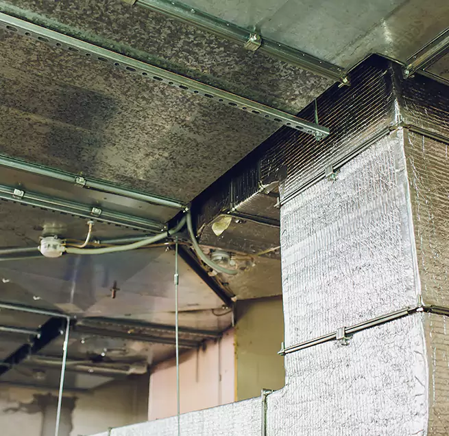 Why Homeowners & Businesses Trust Us in Hilton Head Island, SC?