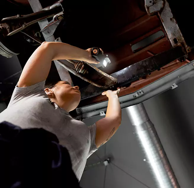 Why Homeowners & Businesses Trust Us Hilton Head Island, SC