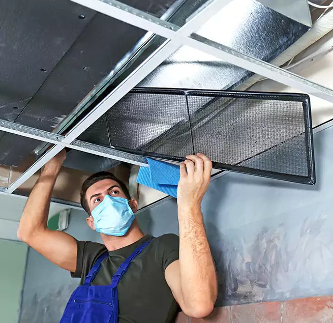 Why Homeowners Businesses Trust Us in Hilton Head Island, SC