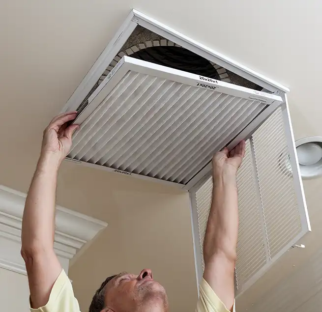 Why Homeowners & Businesses Trust Us in Hilton Head Island, SC?