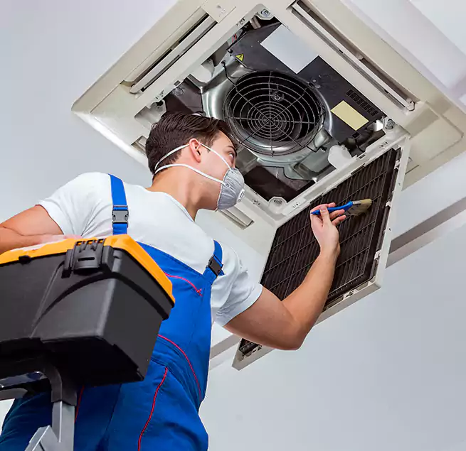 Why Homeowners & Businesses Trust Us in Hilton Head Island, SC?